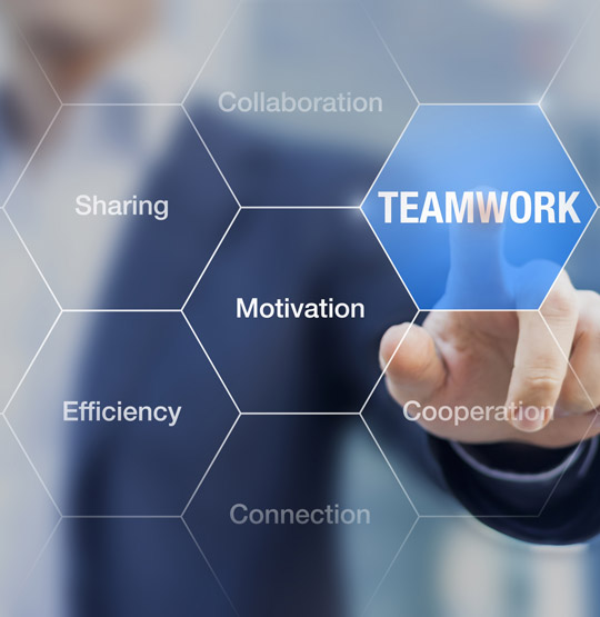 engineers and contractors team